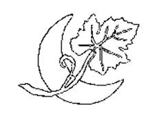 Design comprising a single grape leaf with an attached vine in front of a crescent moon.